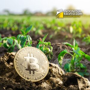 Read more about the article Yield Farming untuk Pemula: Menggali Keuntungan dari Dunia Kripto